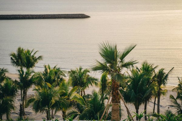 What Are the Top UK Cities for Food Tourism?